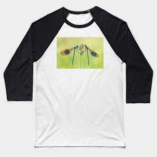 Two Male Banded Demoiselles on a Grass Stalk Baseball T-Shirt